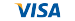 icon visa